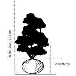 Osmo Salgsbutik -Osmo Salgsbutik 363 med klump 150 175 cm 03e4 16