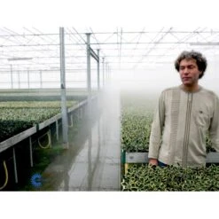 Kristtorn Ilex Aquifolium Med Klump,- 150-175 Cm. -Osmo Salgsbutik fi15282 ilex aquifolium 56c6