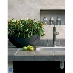 Chilipeber 'Lombardo' Capsicum Annuum 'Lombardo' Pose Med Frø Eller Løg, 5 12 Chilipeber 'Lombardo' Capsicum Annuum 'Lombardo' Pose Med Frø Eller Løg, 5 -Osmo Salgsbutik fi918 capsicum annuum 24f5