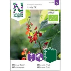 Pralbønne 'Lady Di' Øko Phaseolus Coccineus 'Lady Di' Frøpose, Antal Pr. Pakke, Ca. 10 Stk.