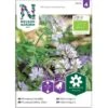 Blå Honningurt Øko Phacelia Tanacetifolia Frøpose, Antal Pr. Pakke, Ca. 40 Stk.
