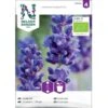 Ægte Lavendel Øko Lavandula Angustifolia Frøpose, Antal Pr. Pakke, Ca. 20 Stk. -Osmo Salgsbutik p20214 37195 lavandula angustifolia df07
