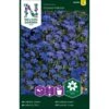 Kantlobelie 'Crystal Palace' Lobelia Erinus 'Crystal Palace' Pose Med Frø Eller Løg, 15 1 Kantlobelie 'Crystal Palace' Lobelia Erinus 'Crystal Palace' Pose Med Frø Eller Løg, 15 -Osmo Salgsbutik p20529 34837 lobelia erinus crystal palace 1c26
