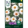 Okseøje 'Maikönigin' Leucanthemum Vulgare 'Maikönigin' Pose Med Frø Eller Løg, 20 -Osmo Salgsbutik p20577 34833 leucanthemum vulgare maikoenigin c7dc