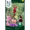 Stokrose 'Chaters Double' Alcea Rosea L. 'Chaters Double' Pose Med Frø Eller Løg, 25 -Osmo Salgsbutik p20627 34843 alcea rosea l chaters double f37c