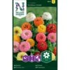Frøkenhat 'Sunbow Mixed' Zinnia Elegans 'Sunbow Mixed' Pose Med Frø Eller Løg -Osmo Salgsbutik p20676 34839 zinnia elegans sunbow mixed 64f2