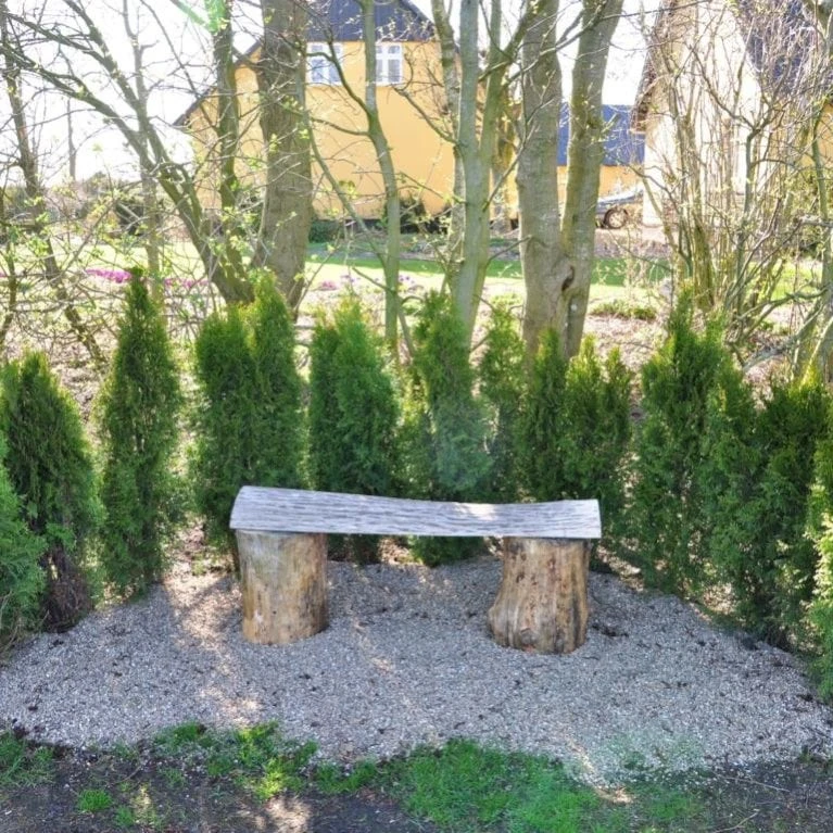 Hækthuja 'Smaragd' Thuja Occidentalis 'Smaragd' Med Klump,- 150-175 Cm. 3 Hækthuja 'Smaragd' Thuja Occidentalis 'Smaragd' Med Klump,- 150-175 Cm.