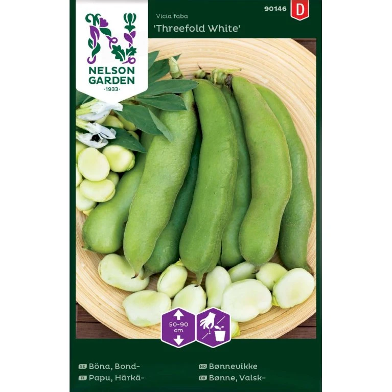 Valskbønne 'Threefold White' Vicia Faba 'Threefold White' 3 Valskbønne 'Threefold White' Vicia Faba 'Threefold White'