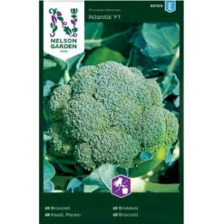 Broccoli 'Alantis' F1 Brassica Oleracea 'Atlantis' F1