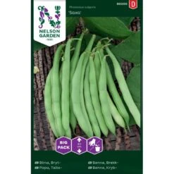 Krybbønne 'Saxa' Big Pack Phaseolus Vulgaris 'Saxa'