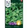 Citronmelisse Melissa Officinalis L. -Osmo Salgsbutik p33623 37062 melissa officinalis l 29a2
