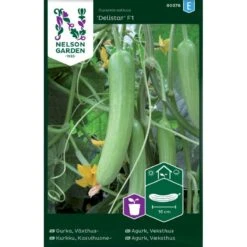 Drivhusagurk 'Delistar' F1 Cucumis Sativus 'Delistar' F1