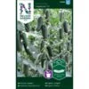 Miniagurk 'Hopeline' F1 Cucumis Sativus 'Hopeline' F1 2 Miniagurk 'Hopeline' F1 Cucumis Sativus 'Hopeline' F1 -Osmo Salgsbutik p33645 37003 cucumis sativus hopeline f1 e90e