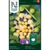 Ananaskirsebær Physalis Grisea -Osmo Salgsbutik p33646 37019 physalis grisea 8b19