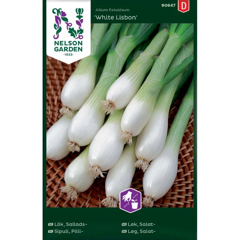 Forårsløg 'White Lisabon' Allium Cepa 'White Lisbon' 3 Forårsløg 'White Lisabon' Allium Cepa 'White Lisbon'