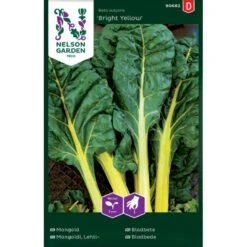Bladbede 'Bright Yellow' F1 Beta Vulgaris 'Bright Yellow' F1