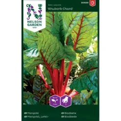 Bladbede 'Rhubarb Chard' Beta Vulgaris 'Rhubarb Chard'