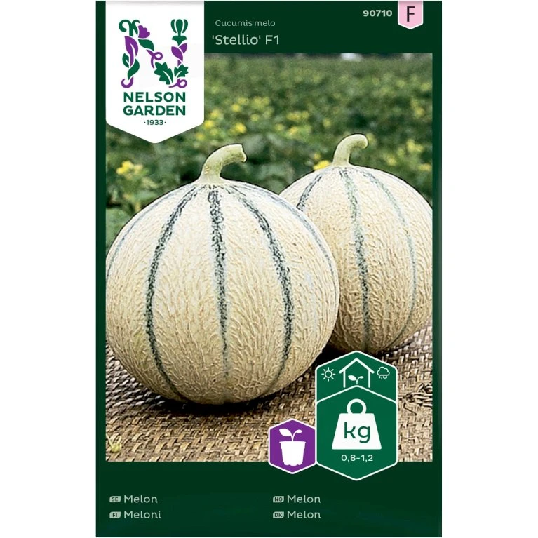 Melon 'Stellio' F1 Cucumis Melo 'Stellio' F1 3 Melon 'Stellio' F1 Cucumis Melo 'Stellio' F1