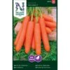 Sommergulerod 'Nantaise 2' Big Pack Daucus Carota L 'Nantaise 2'