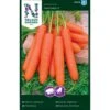 Sommergulerod 'Nantaise 2' Såbånd Daucus Carota L 'Nantaise 2' -Osmo Salgsbutik p33699 37131 daucus carota l nantaise 2 5805
