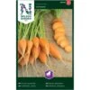 Gulerod, Sommer-, Oxheart Daucus Carota L 'Oxheart'