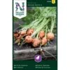 Sommergulerod 'Pariser Markt 5' Daucus Carota L 'Pariser Markt 5' -Osmo Salgsbutik p33706 37134 daucus carota l pariser markt 5 2767