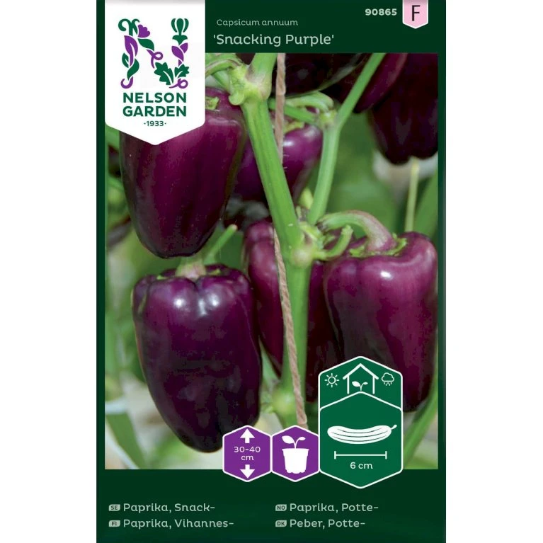 Sød Peber 'Snacking Purple' Capsicum Annuum 'Snacking Purple' 3 Sød Peber 'Snacking Purple' Capsicum Annuum 'Snacking Purple'