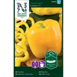 Sød Peber 'Luteus' F1 Capsicum Annuum 'Luteus' F1