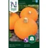 Mandelgræskar 'Baby Bear' Cucurbita Pepo 'Baby Bear'