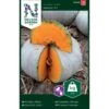 Centnergræskar 'Nelson' F1 Cucurbita Maxima 'Nelson' F1 -Osmo Salgsbutik p33739 37145 cucurbita maxima nelson f1 cf15