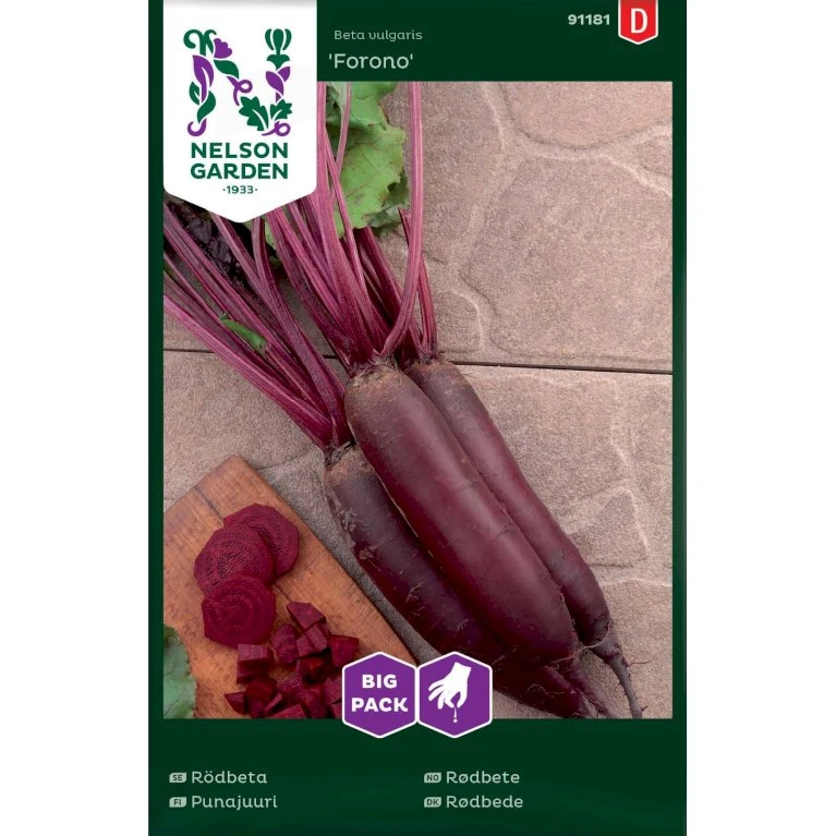 Aflang Rødbede 'Forono' Big Pack Beta Vulgaris 'Forono' 3 Aflang Rødbede 'Forono' Big Pack Beta Vulgaris 'Forono'