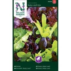 Salat 'Baby Leaf Mix' Lactuca Sativa 'Baby Leaf Mix'