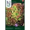 Bataviasalat 'Lollo Rossa' Lactuca Sativa 'Lollo Rossa' -Osmo Salgsbutik p33764 37160 lactuca sativa lollo rossa 3e5d