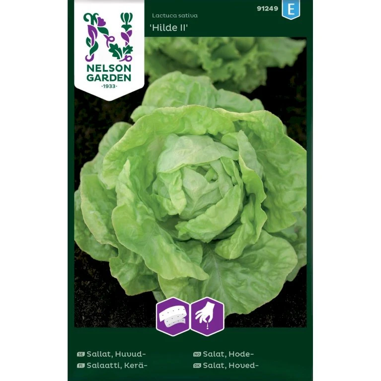 Hovedsalat 'Hilde II' Såbånd Lactuca Sativa 'Hilde II' 3 Hovedsalat 'Hilde II' Såbånd Lactuca Sativa 'Hilde II'