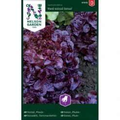 Pluksalat 'Red Salad Bowl' Lactuca Sativa 'Red Salad Bowl'