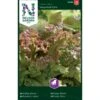 Pluksalat 'New Red Fire' Lactuca Sativa 'New Red Fire' -Osmo Salgsbutik p33778 37170 lactuca sativa new red fire c016