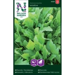 Vild Rucola 'Wildfire' Diplotaxis Tenufolia 'Wildfire'