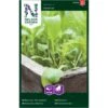 Rucola 'Venetia' Eruca Sativa 'Venetia' -Osmo Salgsbutik p33783 34860 eruca sativa venetia 9fd3