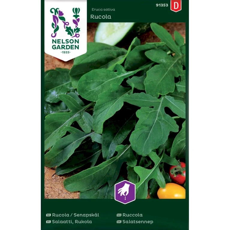 Rucola Eruca Sativa Rucola 3 Rucola Eruca Sativa Rucola