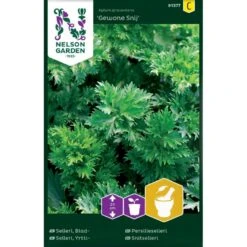 Snitselleri 'Gewone Snij' Apium Graveolens 'Gewone Snij'