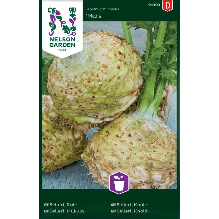 Knoldselleri 'Mars' Apium Graveolens 'Mars' 3 Knoldselleri 'Mars' Apium Graveolens 'Mars'