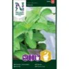 Sød Stevia Stevia Rebaudiana Stevia -Osmo Salgsbutik p33804 37092 stevia rebaudiana stevia d473