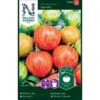 Tomat 'Tigerella' Solanum Lycopersicum 'Tigerella' -Osmo Salgsbutik p33817 37034 solanum lycopersicum tigerella 9e34