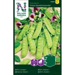 Ært, Sukker-, Høj, Grijze Roodbloeiende Pisum Sativum 'Grijze Roodbloeiende'