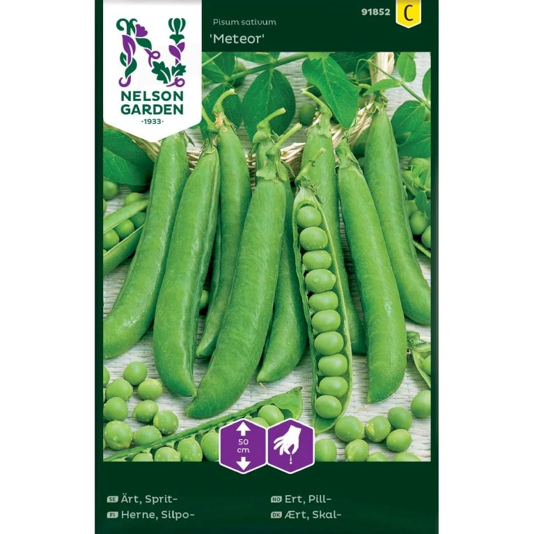 Lav Skalært 'Meteor' Pisum Sativum 'Meteor' 3 Lav Skalært 'Meteor' Pisum Sativum 'Meteor'