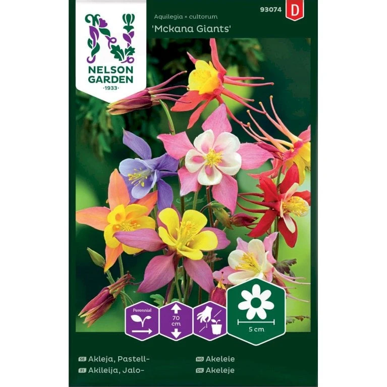 Akeleje 'Mckana Giants' Mix Aquilegia × Cultorum 'Mckana Giants' 3 Akeleje 'Mckana Giants' Mix Aquilegia × Cultorum 'Mckana Giants'
