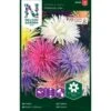 Sommerasters 'Prinette' Mix Callistephus Chinensis 'Prinette' Mix 2 Sommerasters 'Prinette' Mix Callistephus Chinensis 'Prinette' Mix -Osmo Salgsbutik p33846 37204 callistephus chinensis prinette mix 57d8