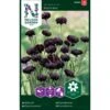 Kornblomst 'Black Boy' Centaurea Cyanus 'Black Boy' -Osmo Salgsbutik p33866 37221 centaurea cyanus black boy 2a2b