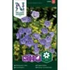 Smalbladet Klokkeblomst Campanula Persicifolia L. -Osmo Salgsbutik p33870 37224 campanula persicifolia l b6dc