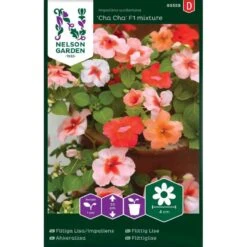 Flittiglise 'Cha Cha' F1 Mix Impatiens Walleriana 'Cha Cha' F1 Mixture